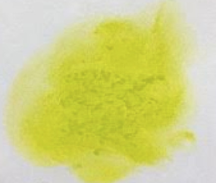 Νο. 233 - ξηρό παστέλ l'ecu Sennelier Chromium green